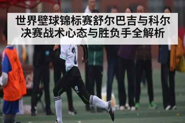 世界壁球锦标赛舒尔巴吉与科尔决赛战术心态与胜负手全解析