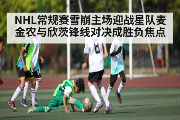 NHL常规赛雪崩主场迎战星队麦金农与欣茨锋线对决成胜负焦点